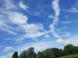 Jacquelien 05 Windveren